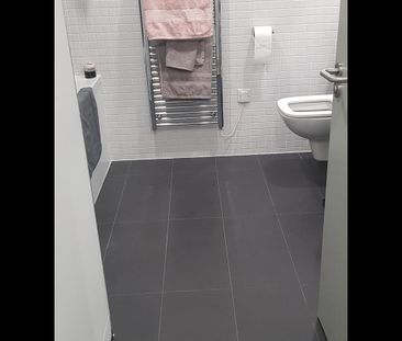 Room in a Shared House, South Loop Park, B16 - Photo 6