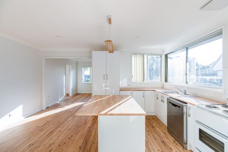 17 Hawkins Street, New Lambton NSW 2305 - House For Rent | Domain - Photo 3