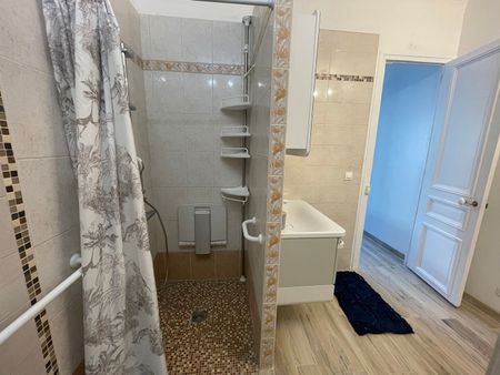JOINVILLE : APPARTEMENT 5 PIECES MEUBLE 130 M2 - Photo 3