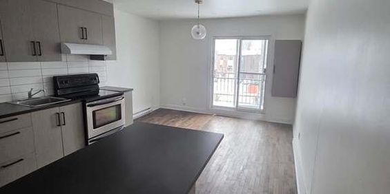 Hochelaga - Beau 3 1/2 Rénové - Photo 3