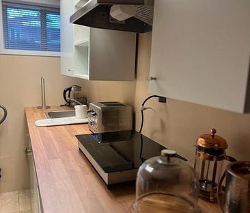 For Lease - 346 Wenlock Avenue Unit# Basement, Richmond Hill, Ontario - Photo 6