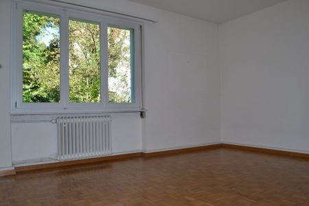ruhig und doch zentralgelegene Dachwohnung in Wipkingen - Foto 3