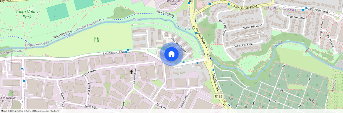 Glasnevin Woods, Dublin 11