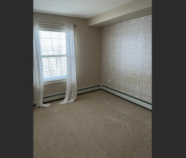 Fabulous 2 Bed 2 Bath Condo in Stonebridge - Photo 1