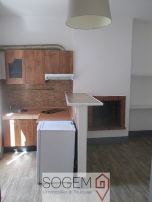 Appartement T1 en location à Toulouse - Photo 1