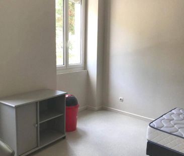 Location appartement 1 pièce 20.1 m² à Vienne (38200) - Photo 3