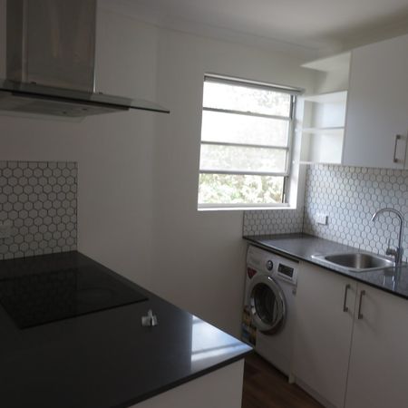 28/137 Blamey Crescent, Campbell ACT 2612 - Apartment For Rent | Domain - Photo 3