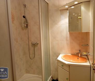 Location Appartement 1 pièce 41m² GRENOBLE 38000 - Photo 6