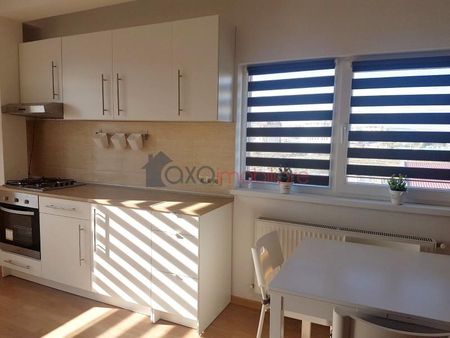 Apartament 4 camere de inchiriat in Cluj-Napoca, Buna Ziua ID 4338 - Fotografie 5