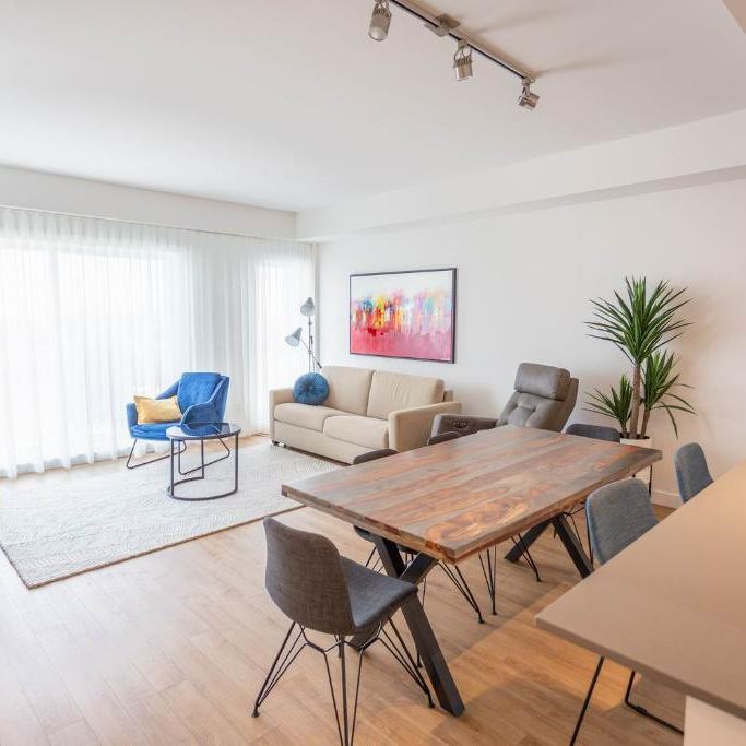 Grand condo 1 chambre Voisin de l'Université Laval Québec à louer - appartement / logement - Photo 1