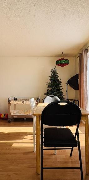 Appartement 4 ½ à louer Sainte-Foy / Sillery juillet 2026 - Photo 1