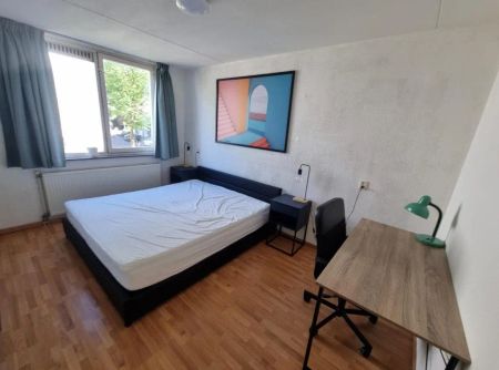 Maisonnette meublée Berkstraat, Utrecht - À louer - Foto 5
