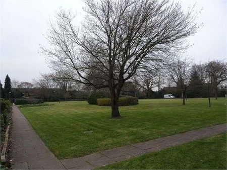 Bryony House, Jocks Lane, Bracknell, RG42 - Photo 4