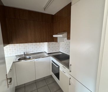 3.5-room apartment recently renovated and beautiful and bright - Sp... - Photo 6