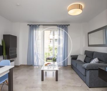 Piso de alquiler en C/ de Salvador Giner, El Carme - Photo 1