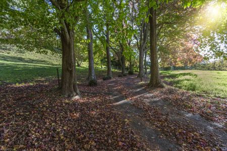 Rural Living with Ocean Views - Photo 2