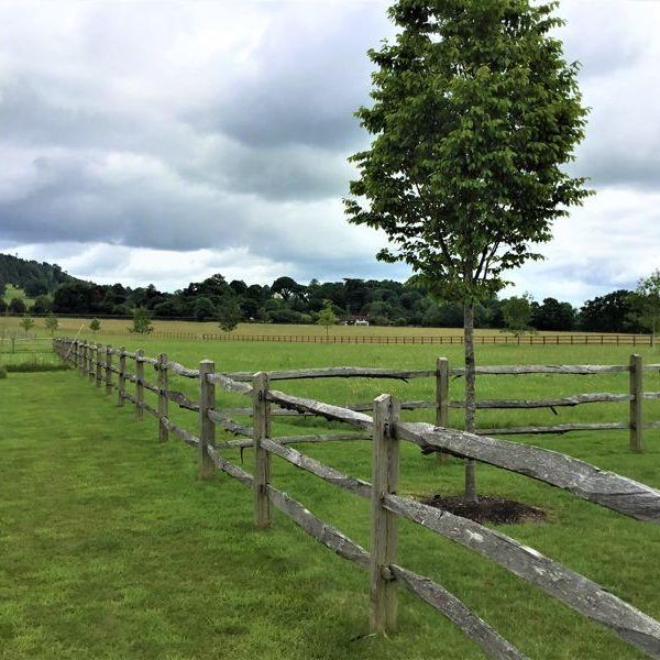 2 bedroom equestrian property to rent - Photo 1