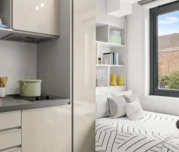 Bronze Studio Standard View Basement Level - Photo 6