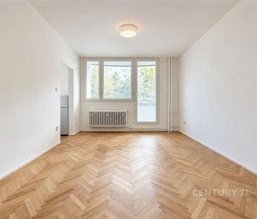 Pronájem útulného 1+KK po rekonstrukci, Ježkova - Photo 3