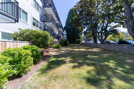 Royal Arms - Photo 4