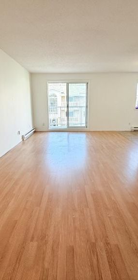 Appartement 4 ½ à louer Sainte-Foy / Sillery août 2026 - Photo 1