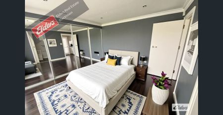 Newly renovated 4-bedroom property in the heart of the hills. - Photo 4