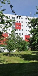 Hofholzallee 218, 24109 Kiel OT Hasseldieksdamm - Photo 4