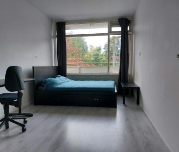 Chambre dans appartement à Capelle aan den IJssel, Dotterlei - À louer - Photo 5
