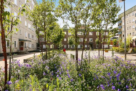 Hyppingeplan 9, Tensta - Foto 4