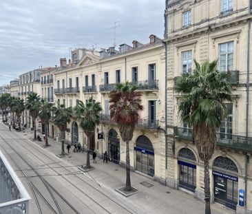 LOCATION APPARTEMENT 2 PIÈCES MEUBLÉ MONTPELLIER CENTRE ECUSSON JEU... - Photo 4