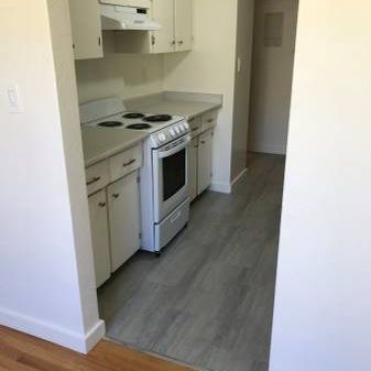 Spacious 1 bedroom Downtown - Photo 3