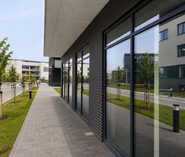 Warszawa, Wilanów, Warszawa, Wilanów - Zdjęcie 2