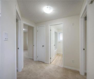 For Lease - 118 Bush Clover Crescent Unit# Unit: Main, Waterloo, On... - Photo 4