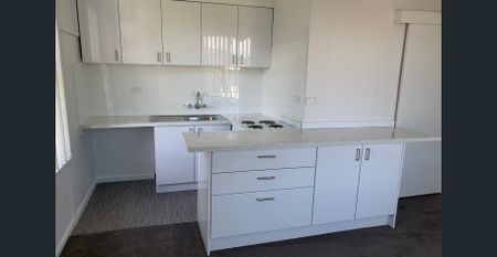 Fully Renovated One Bedroom Unit With Parking - Photo 4