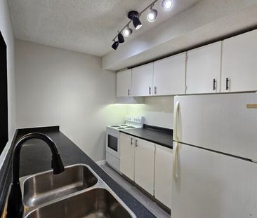 1 Bedroom Suite and PET FRIENDLY! | 5820 58A Street, Red Deer - Photo 1