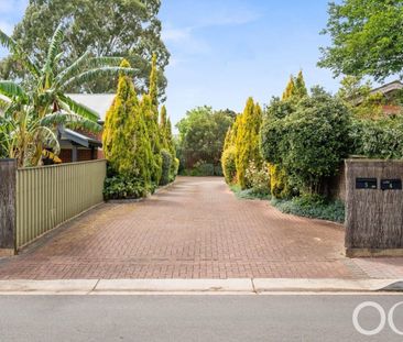 Open the Door To Tranquil Living in Magill - Photo 2