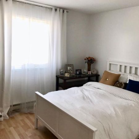 Beauport, 4 1/2 libre, frais peint, insonorisé - Photo 4