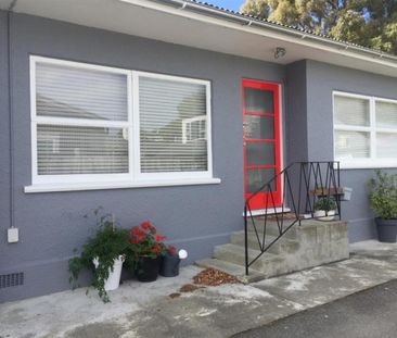 Modernised Unit within short stroll to CBD - Photo 3