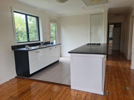 3 Bedroom Home Located in Lismore Heights - Photo 3