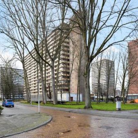 Hendrik Tollensstraat 2624 ZL Delft - Photo 3