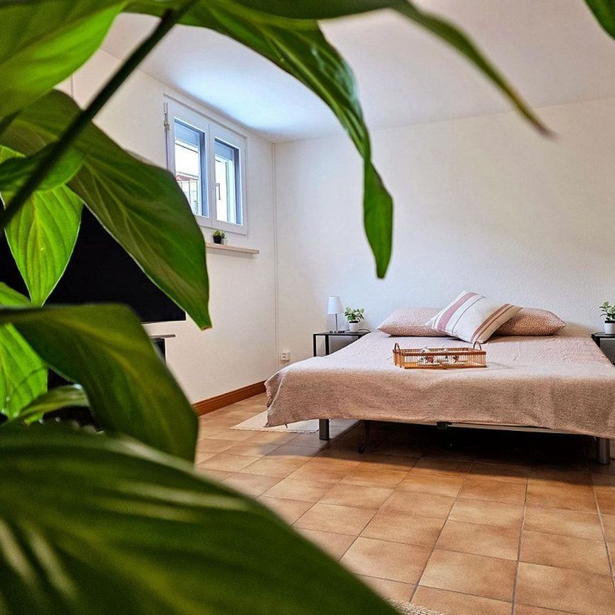 Zweizimmerwohnung mit Terrasse und eigenem Eingang in Losone, ideal für Kurz- bis Mittelzeitaufenthalte - Foto 1