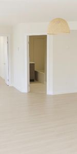 GRAND 4 1/2 à louer Rénové en 2026 - Coaticook ( 4-plex ) 1er mai 2026 - Photo 4