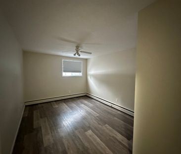 Charming 1 Bed 1 Bath Apartment in heart of DOWNTOWN Red Deer - Photo 3