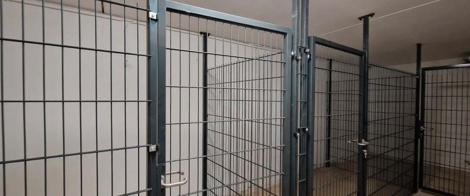 Erstbezug 2026-Stilvolle Neubauwohnungen in Top Lage Groß Bucholz - Photo 1