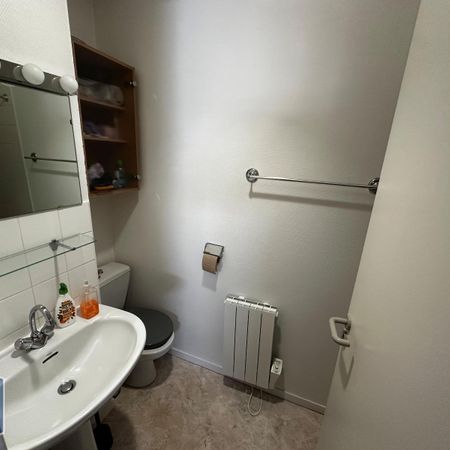 Location Appartement 1 pièce 20m² TOURS 37000 - Photo 4