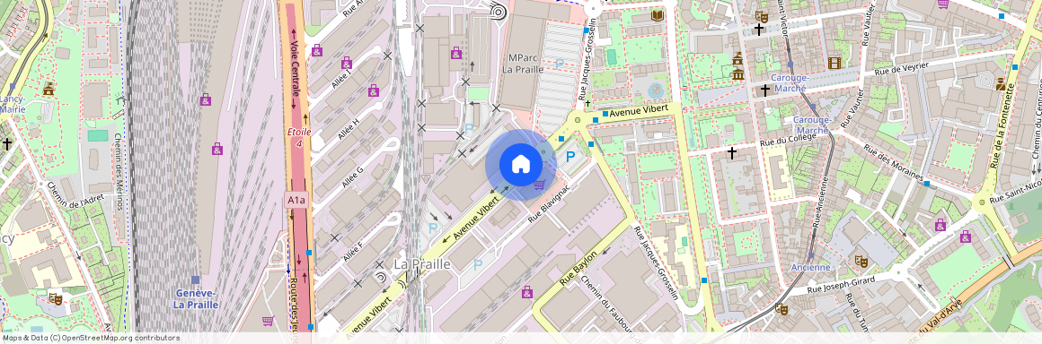 1202, Genf, Avenue Vibert