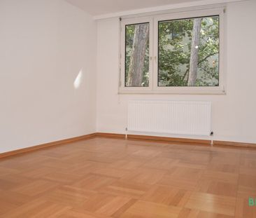 Großzügige, top renovierte Wohnung mit Loggia und Garagenplatz - Bl... - Foto 3