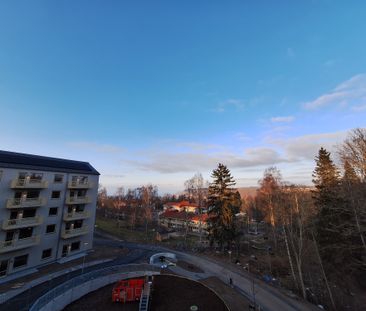 Kalvhagsgatan 24 - Photo 4