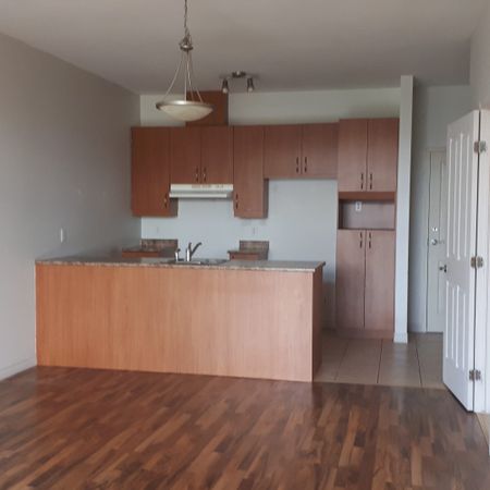 Le 1300 Desaulniers, St-Hyacinthe - Photo 4