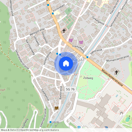 7310, Bad Ragaz, Gaschürstrasse, 8